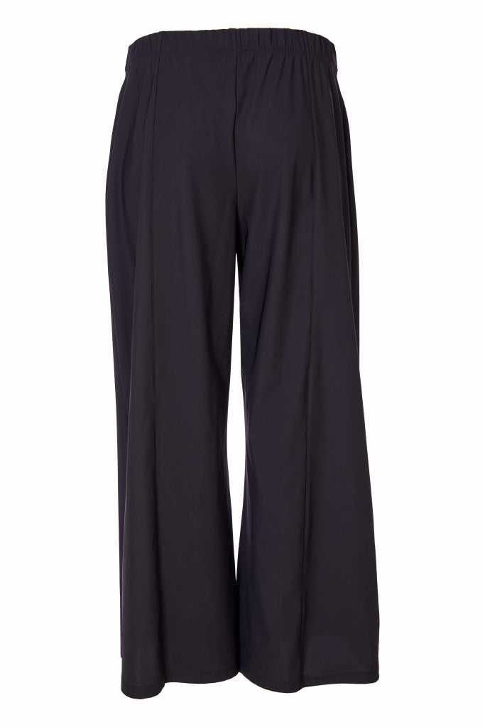 Naya travel fabric Wide leg Flared trouser with Seam Detail Nas25146