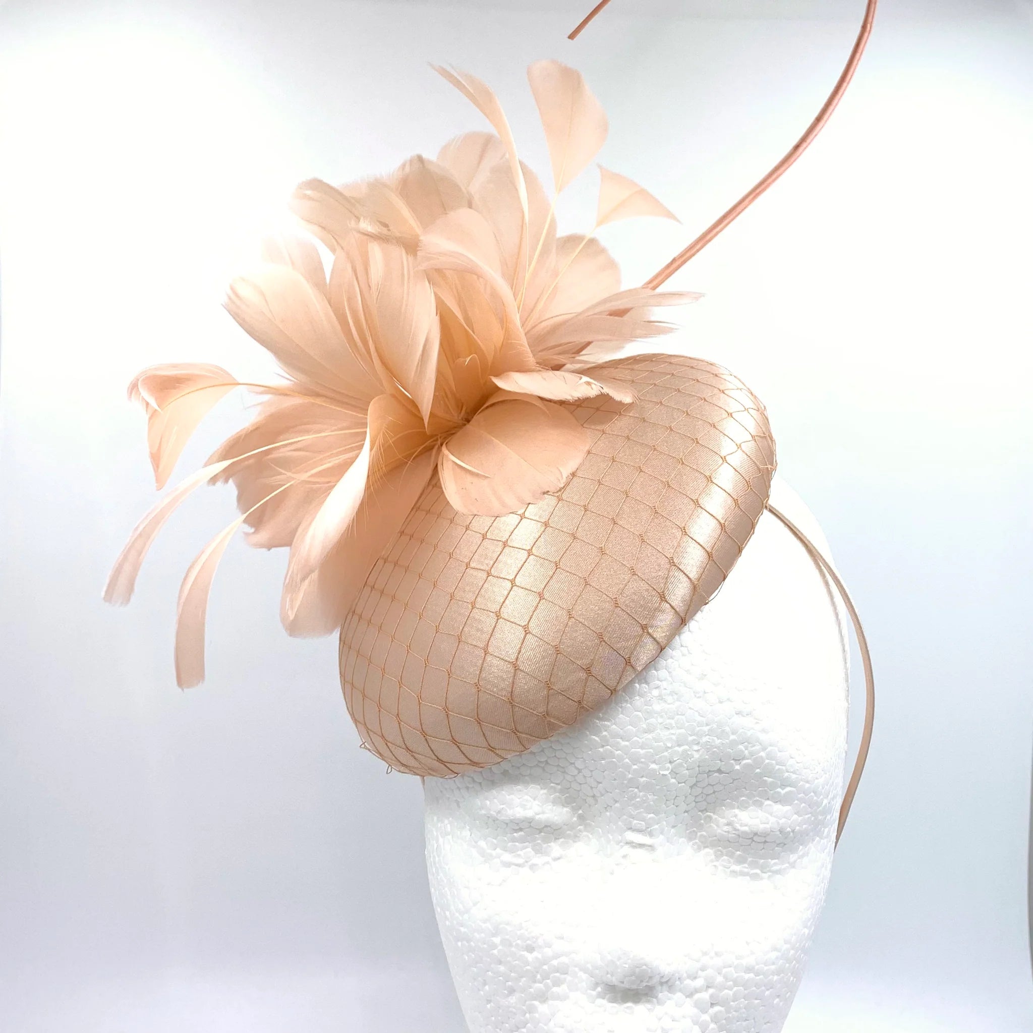 Pillbox style fascinator with feather and spike detail on band D04